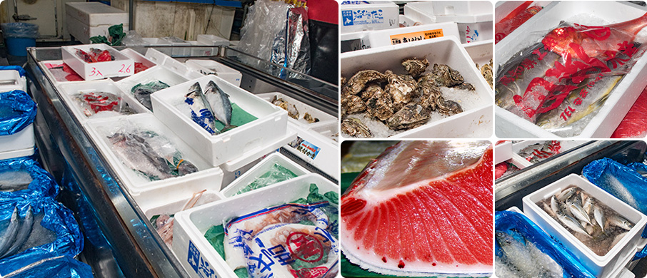 高級鮮魚卸売 鮮